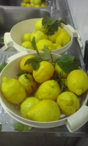 Limoni Lavati